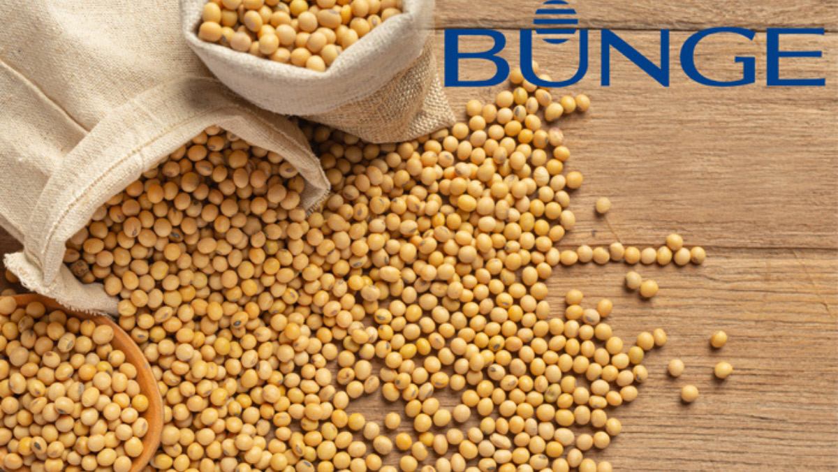 Is Bunge Building the Future of Global Protein?