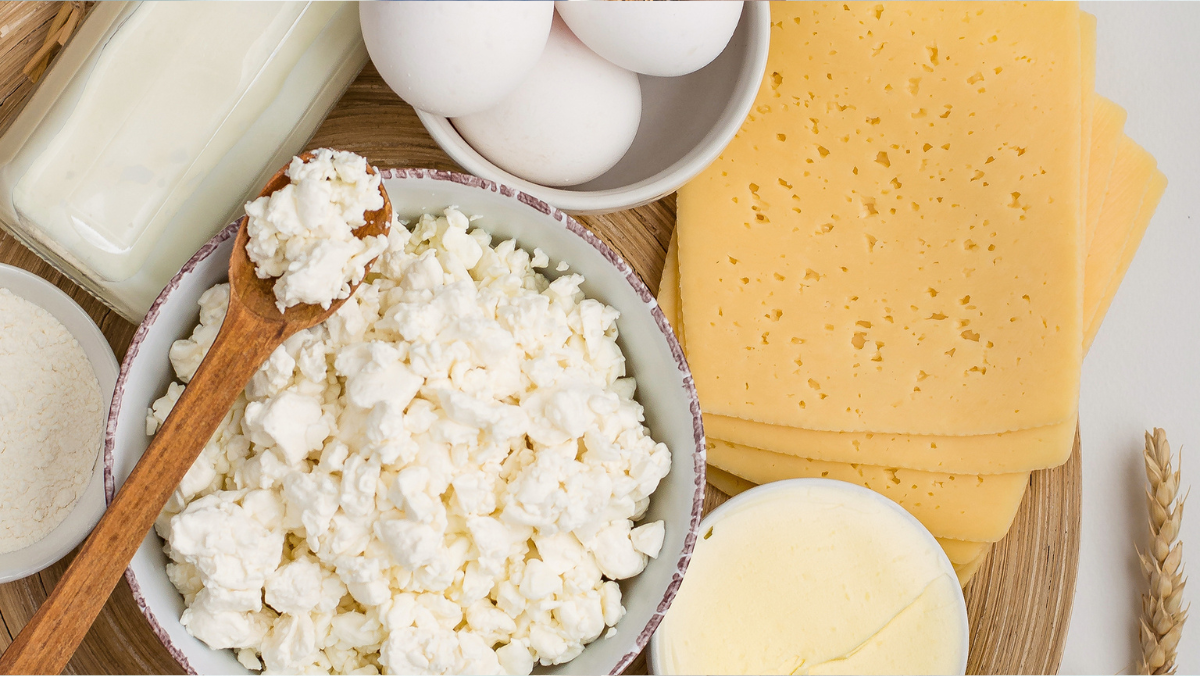 Can Lab-Made Eggs Fix Our Fragile Food Chain?