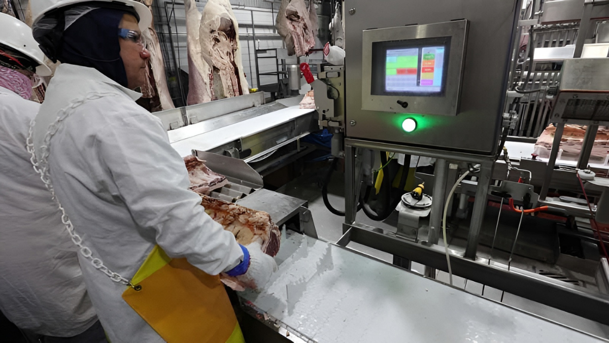 Workers using AI-enabled equipment on a meat processing line to improve yield accuracy