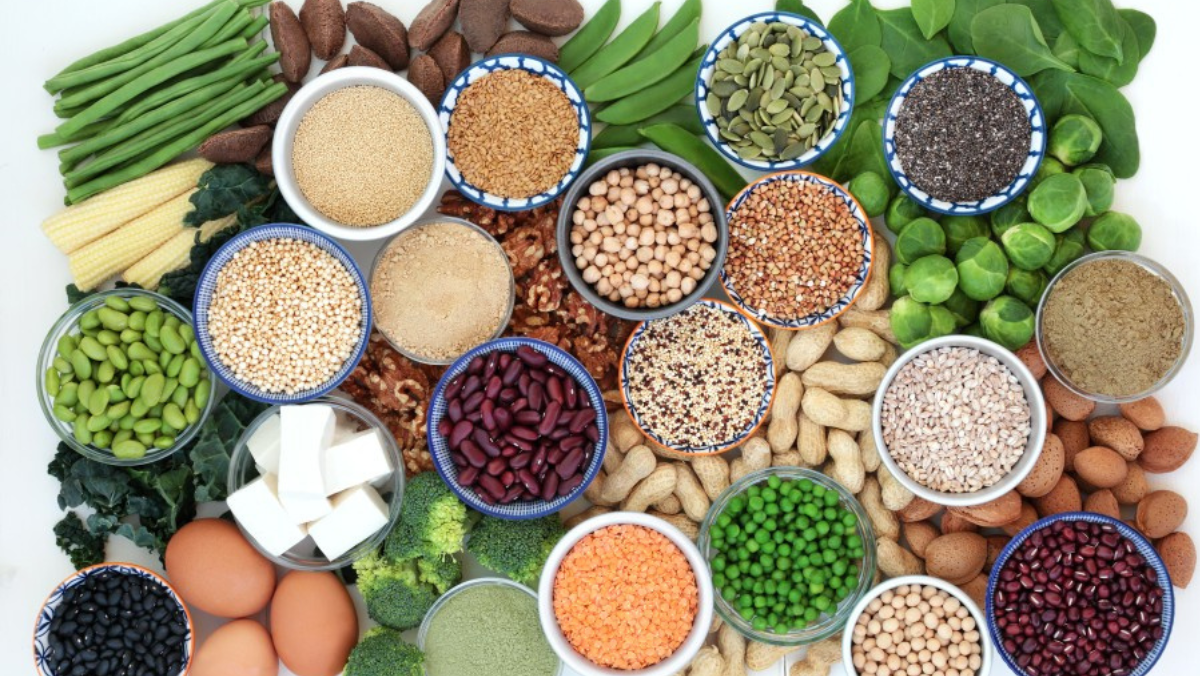 Variety of plant protein ingredients including beans, grains and nuts.