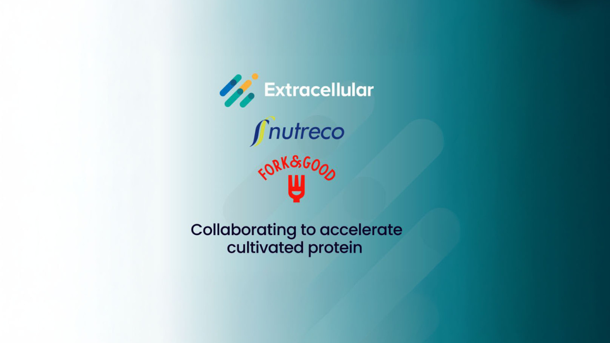 Cultivated meat companies announce US partnership focused on scalable protein production