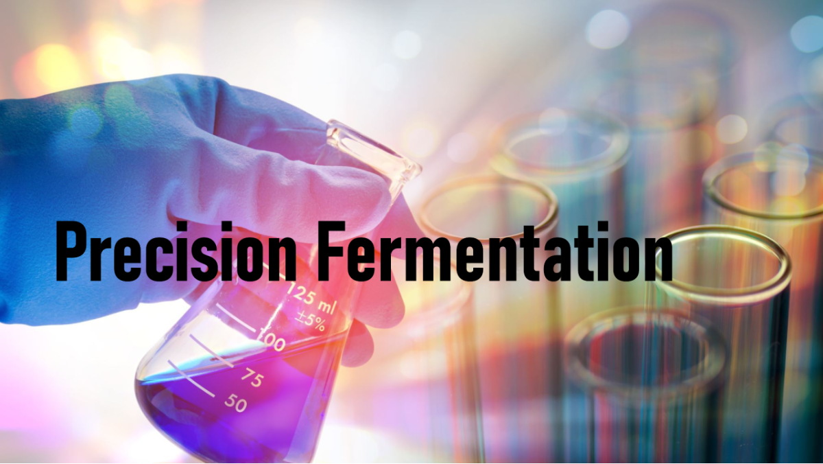 Gloved hand holding a lab flask with colorful test tubes illustrating precision fermentation research