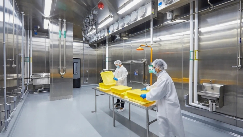 Technicians working in sterile food production facility