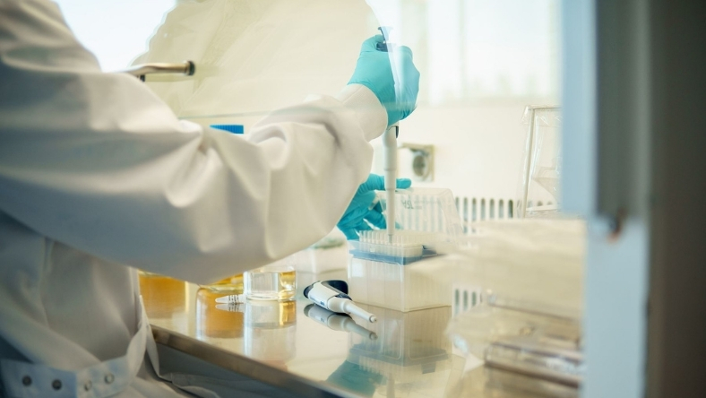 Scientist using pipette to prepare lab samples at research bench