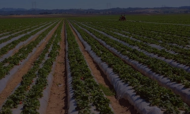AGRI-PLASTICS USA 2026