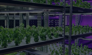 Vertical Farming Show USA 2026