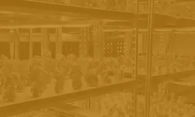 Vertical Farming Show USA 2026