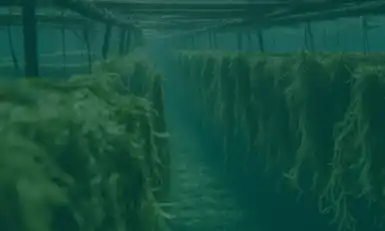 AQUA-CROPS USA 2026
